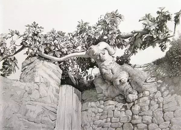 素描风景作品中利用对物体暗面和阴影部分的擦拭表现出光影与空气的的