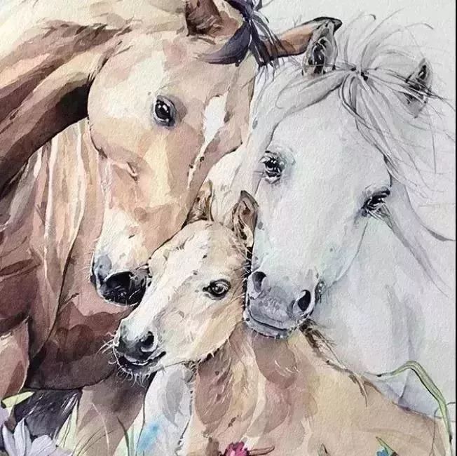 素描   女青年素描头像全方位解析