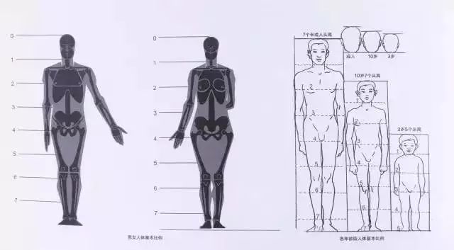 男女人体比例和各年龄段人体基本比例如上图