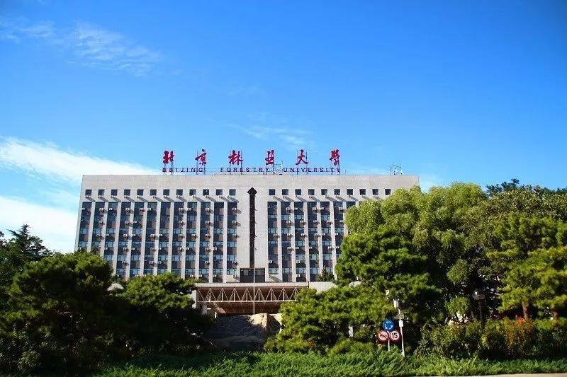 中国政法大学西南大学北京林业大学2019招生政策变化集锦
