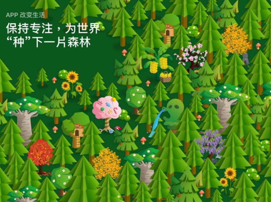 forest 专注森林 也许你没有机会亲手种下一颗树,但还有很多方法为
