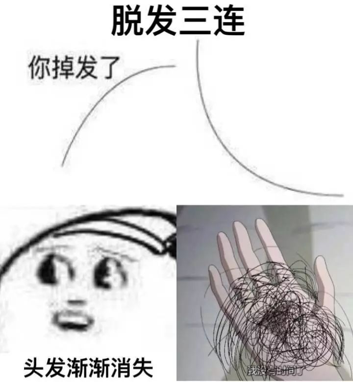 最扎心的是别人脱单我脱发,花呗成山治脱发!