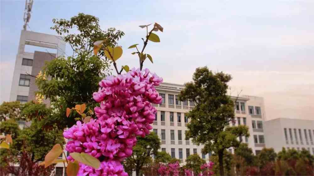 校花来袭,为你喜欢的校花投票吧_安徽建筑大学城市_零