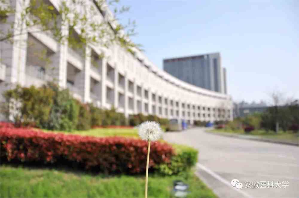 安徽医科大学