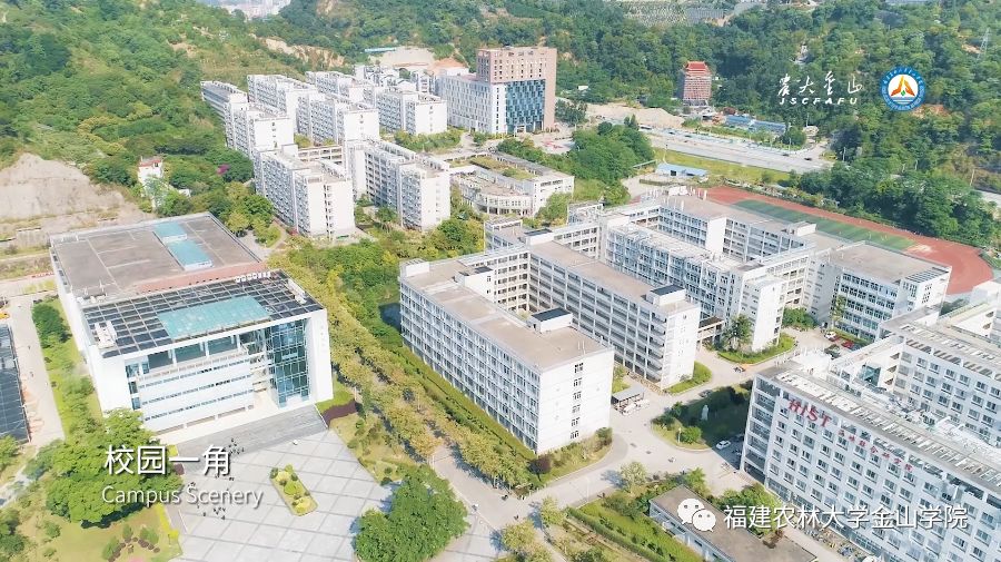 福建农林大学金山学院