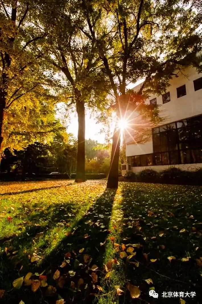 北京体育大学