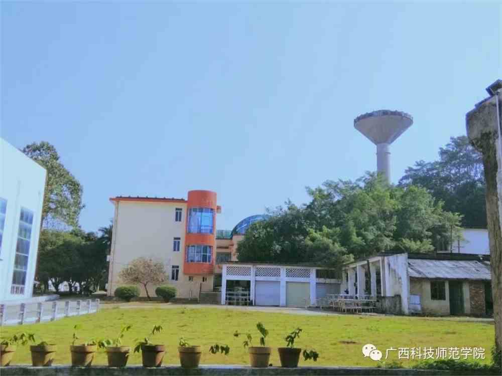 广西科技学院 www.027art.com