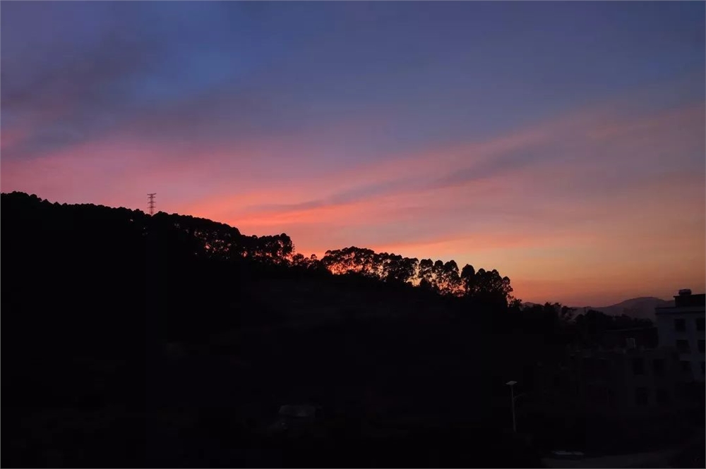 >> 信工学院 鸿若 在华珠,我看到的美景,有宿管整齐划一的字体,有清晨