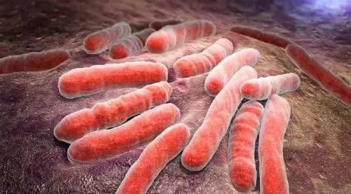 新型冠状病毒 2,症状 肺结核:以持续咳嗽,咳痰2周以上为主要症状,有