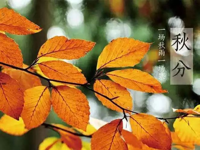 二十四节气——秋分
