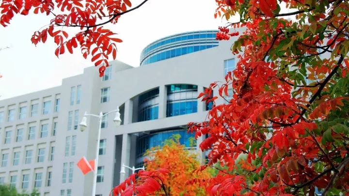 十一校联动商大着眼北国风光层林尽染何方秋色最动人