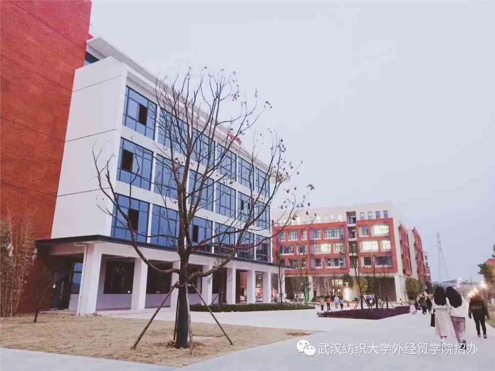 有一个地方叫武汉纺织大学外经贸学院