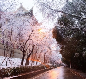 武汉大学