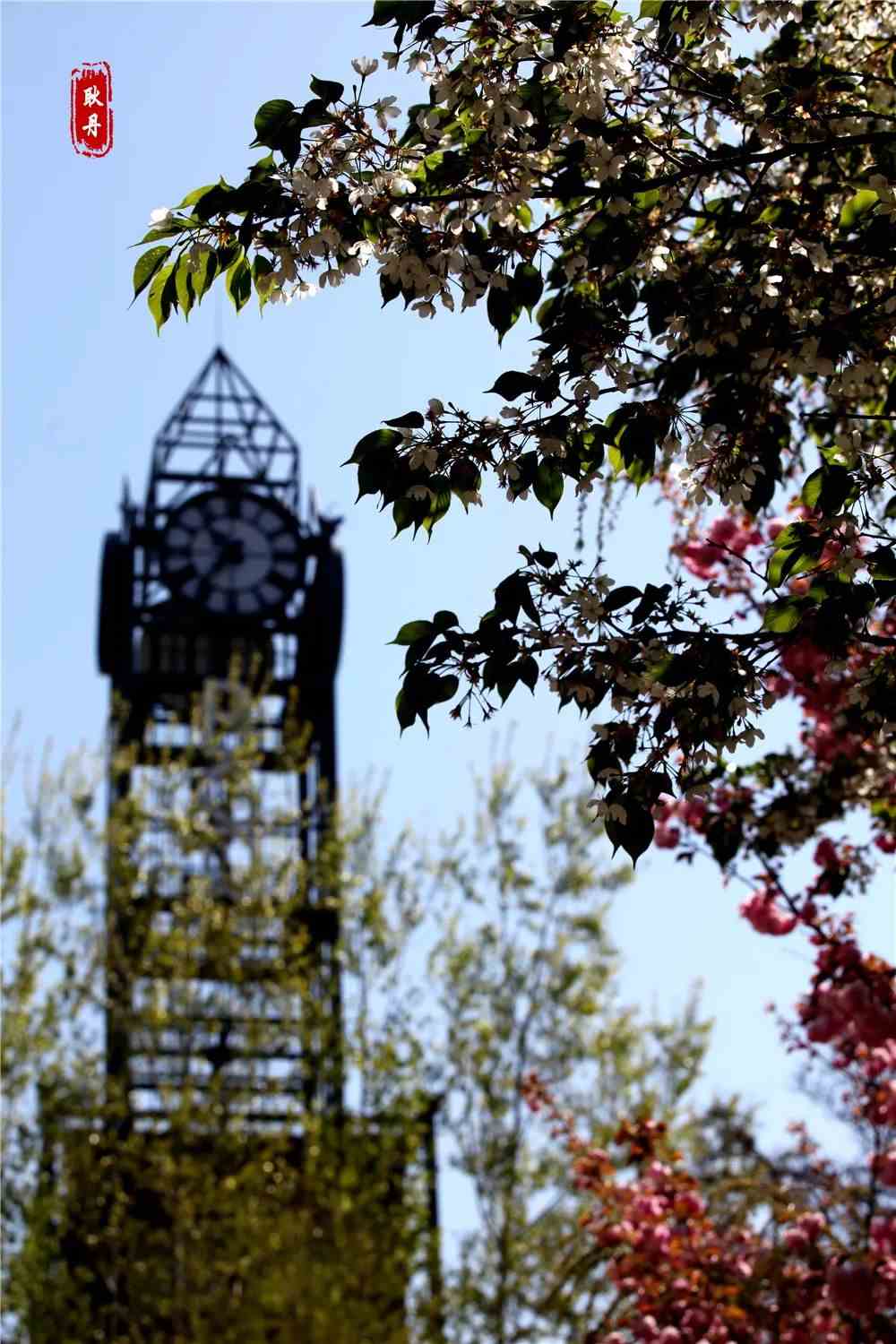 樱花季丨北京工业大学耿丹学院校园唯美壁纸来啦_耿丹招办_零二七艺考